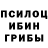 Псилоцибиновые грибы GOLDEN TEACHER Zaur Vasadze