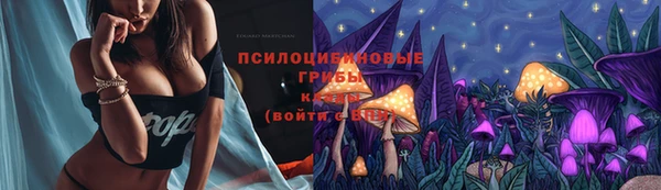mdpv Нязепетровск