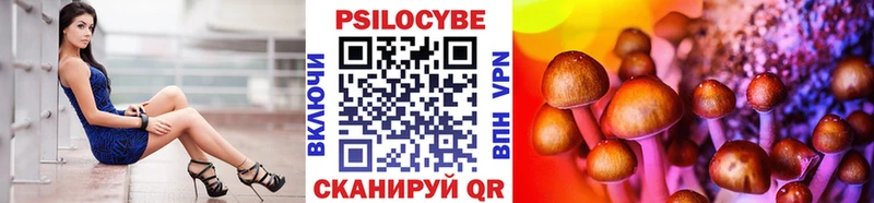 Псилоцибиновые грибы Psilocybe  что такое   Солигалич 
